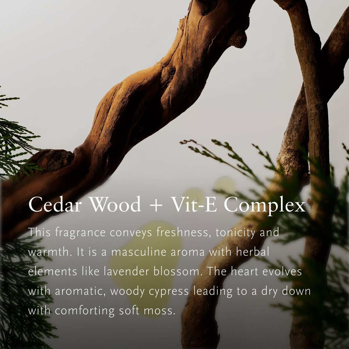 Women's Cosmetics Set Rituals HOMME