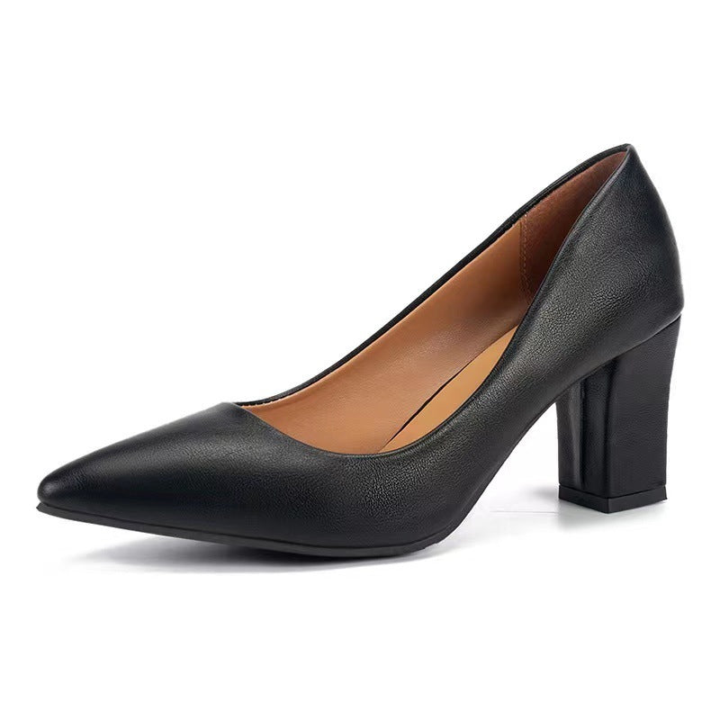 Women's Chunky Heel Pointed Work Shoes