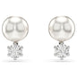 Ladies' Earrings Swarovski 5694225
