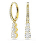 Ladies' Earrings Swarovski 5723300