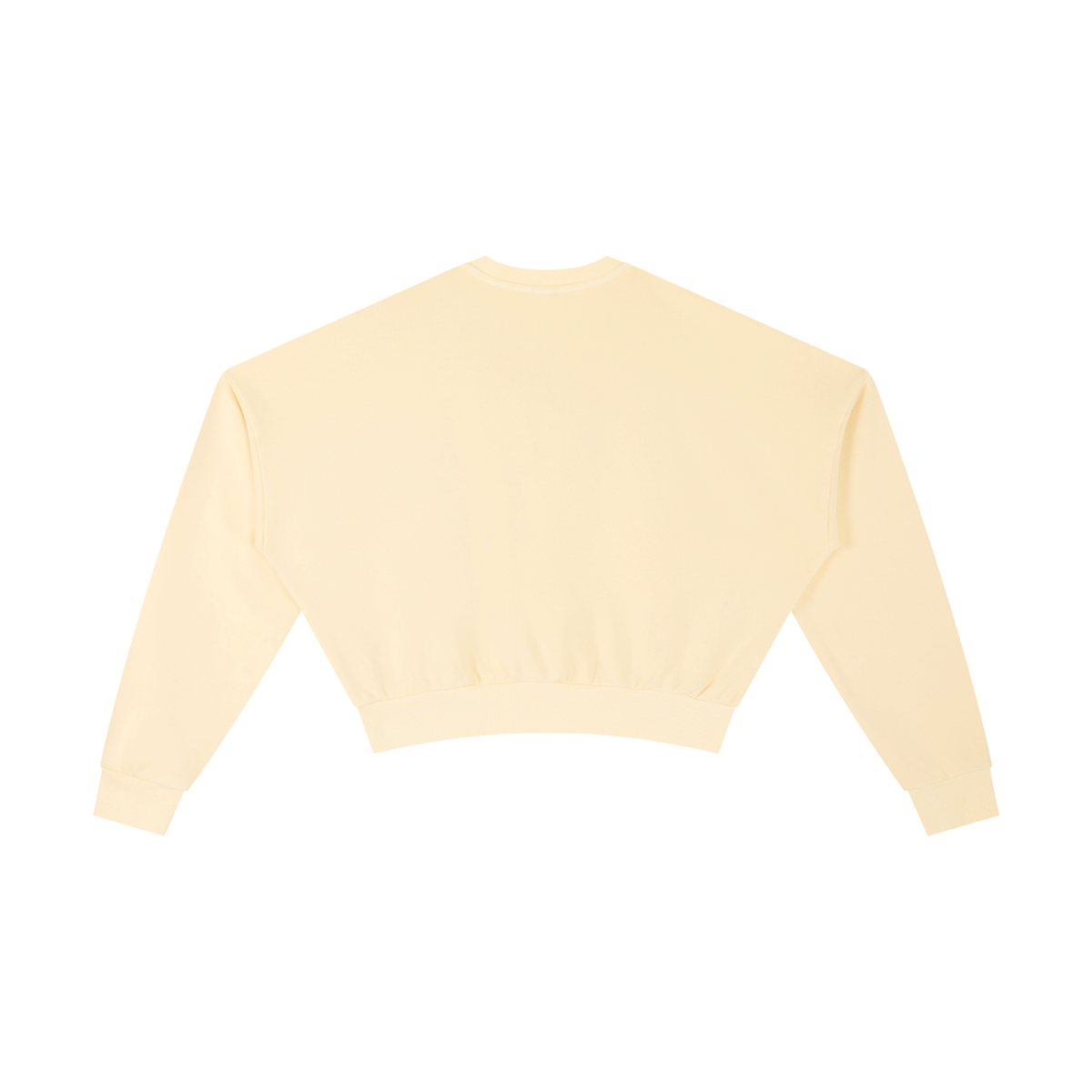 Waran Vintage Washed Cropped Sweatshirt
