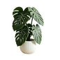 Monstera Leaf 3D Printed Coasters