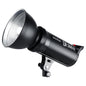 Godox DE300II 300Ws Flash de studio Lumière stroboscopique Tête de lampe Support Bowens Speedlight (prise britannique)