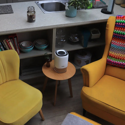 1100ml Quiet Dehumidifier