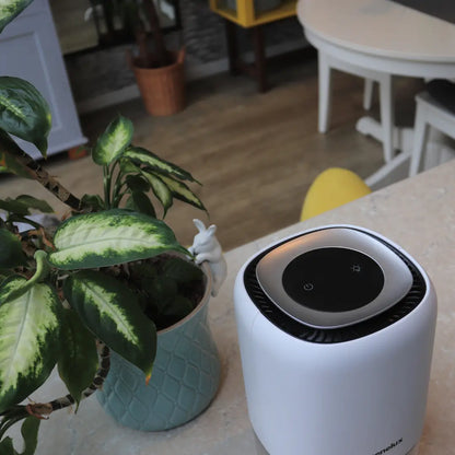 1100ml Quiet Dehumidifier