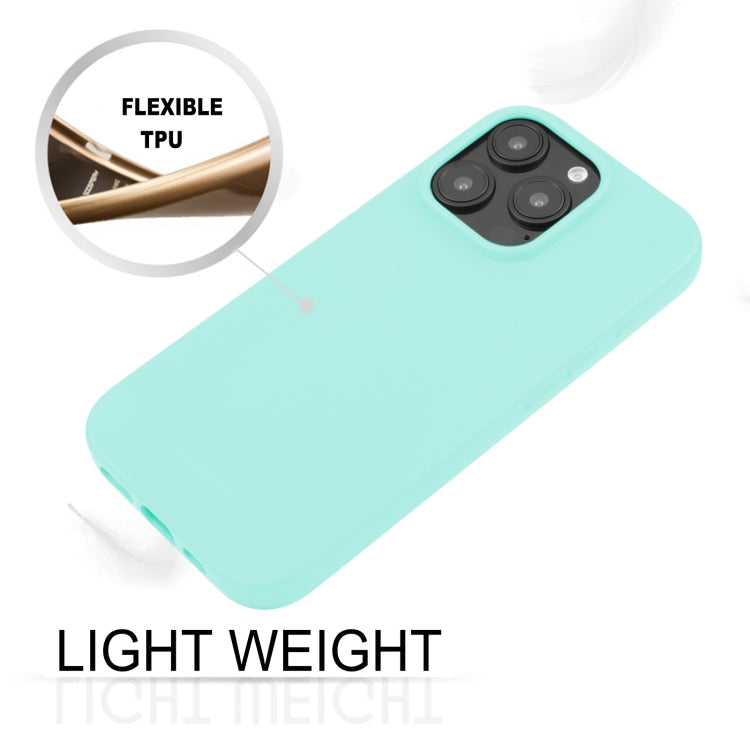 Pour iPhone 16 Pro Max GOOSPERY SOFT FEELING Coque Souple en TPU Liquide (Vert Menthe)