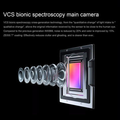 vivo X90s 5G,Triple Back Cameras, 8GB+256GB, Face ID Screen Fingerprint Identification, 6.78 inch Android 13.0 OriginOS 3 Dimensity 9200+ Octa Core, NFC, OTG, Network: 5G, Support Google Play(Black)