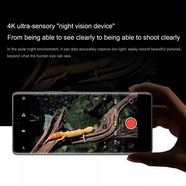 vivo X90s 5G,Triple Back Cameras, 8GB+256GB, Face ID Screen Fingerprint Identification, 6.78 inch Android 13.0 OriginOS 3 Dimensity 9200+ Octa Core, NFC, OTG, Network: 5G, Support Google Play(Black)