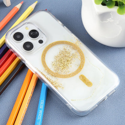 Pour iPhone 15 Pro DFANS DESIGN Magsafe Magnétique Starlight Étui de téléphone brillant (marbre feuille d'or)