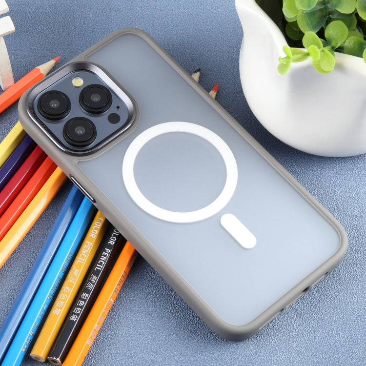 Pour iPhone 15 Pro Max DFANS DESIGN Étui de téléphone magnétique Magsafe (Gris)