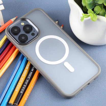 Pour iPhone 15 Pro Max DFANS DESIGN Étui de téléphone magnétique Magsafe (Gris)