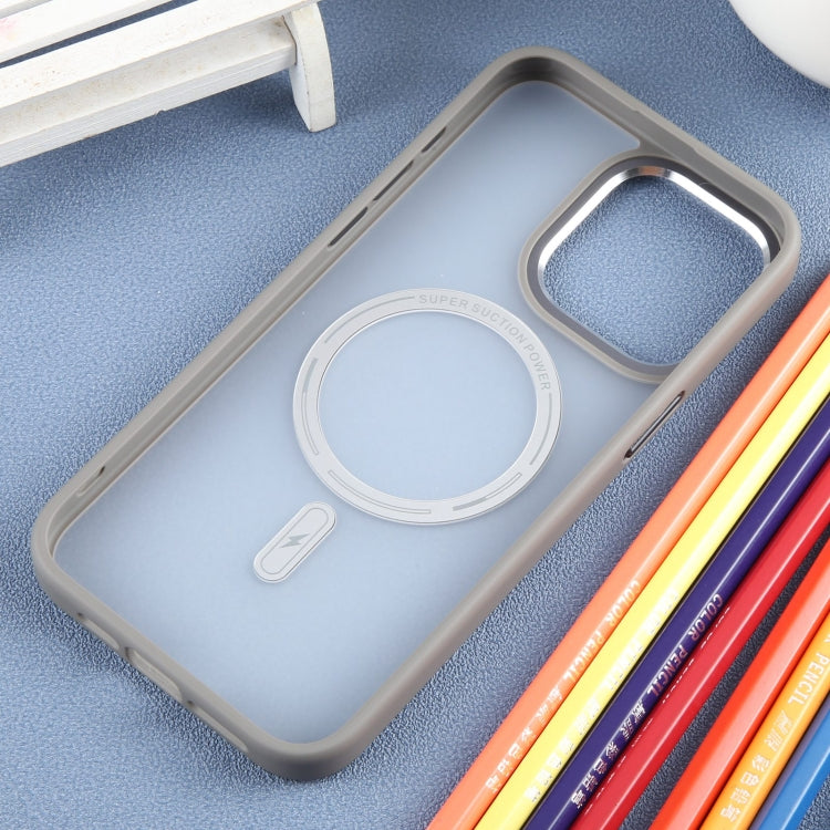 Pour iPhone 15 Pro Max DFANS DESIGN Étui de téléphone magnétique Magsafe (Gris)