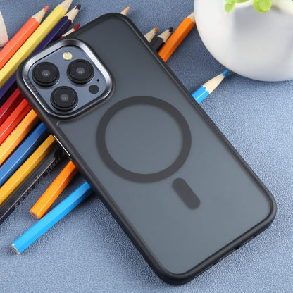 For iPhone 15 Pro Max DFANS DESIGN Magsafe Magnetic Phone Case(Black)