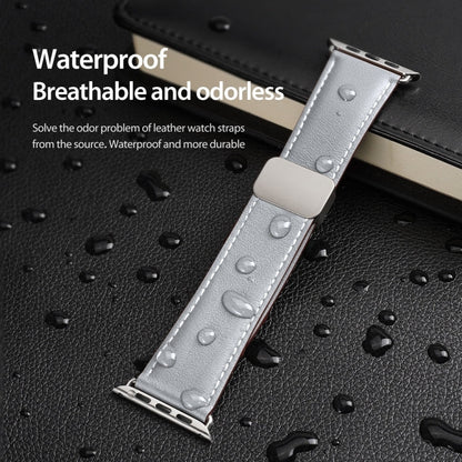 Pour Apple Watch Series 6 40mm Bracelet de Montre en Cuir Véritable avec Boucle Magnétique DUX DUCIS Série YA (Gris)
