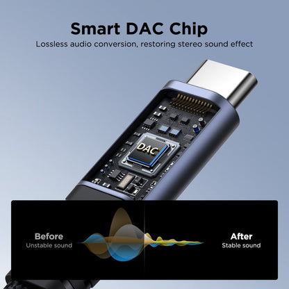 Câble adaptateur audio 2 en 1 USB-C/Type-C vers 3,5 mm + USB-C/Type-C JOYROOM SY-C02 (Noir)