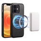 For iPhone 12/12 Pro Denior Cowhide Texture Leather MagSafe Phone Case(Black)