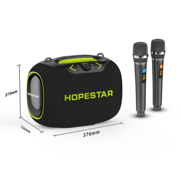 Enceinte Bluetooth Karaoké HOPESTAR Party Box 120W avec 2 Microphones (Gris)
