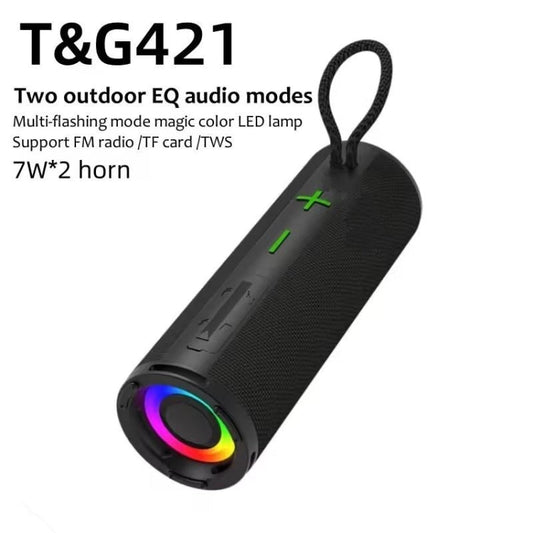 T&G TG-421 RGB BT Outdoor Waterproof Speakers(Silver)