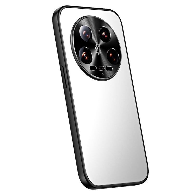 Pour Xiaomi 14 Ultra R-JUST RJ-61 Coque de téléphone en TPU givré galvanisé + PC (argent)