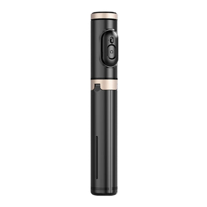 Télécommande Bluetooth ZGA S02 Trépied caché Perche à selfie (Noir)