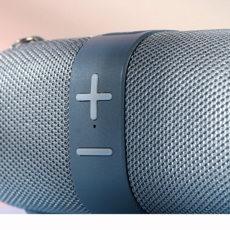 T&G TG667 Outdoor Portable TWS Wireless Bluetooth Speaker(Black)