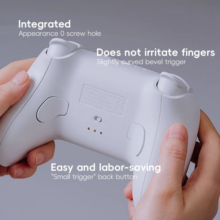 Manette de jeu Bluetooth sans fil 8BitDo Orion NS Version avec support de charge (noir)