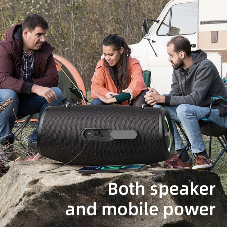 Zealot S87 80W Portable Outdoor Bluetooth Speaker with RGB Light(Black)