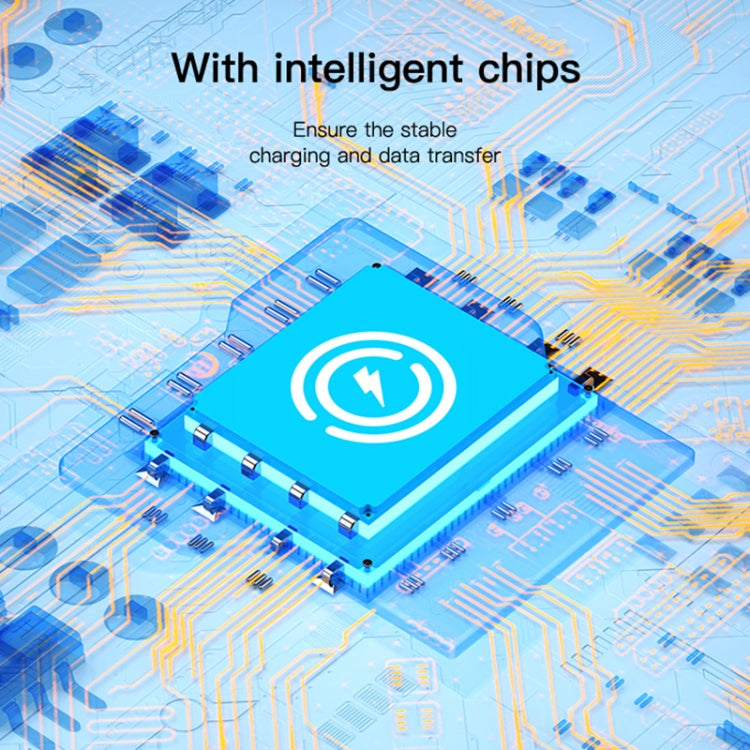 Yesido GS22 USB-C / Type-C to 8 Pin OTG Adapter(Black)