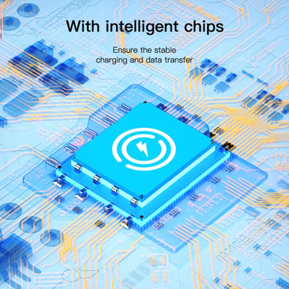 Yesido GS22 USB-C / Type-C to 8 Pin OTG Adapter(Black)