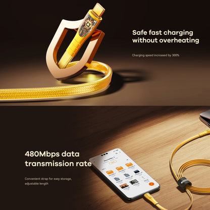 REMAX RC-C166 Prime 1.2m 60W Type-C to Type-C Braided Fast Charging Cable(Gold)