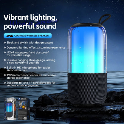 WK Beluga D13 Outdoor Waterproof Portable Bluetooth Speaker(Black)