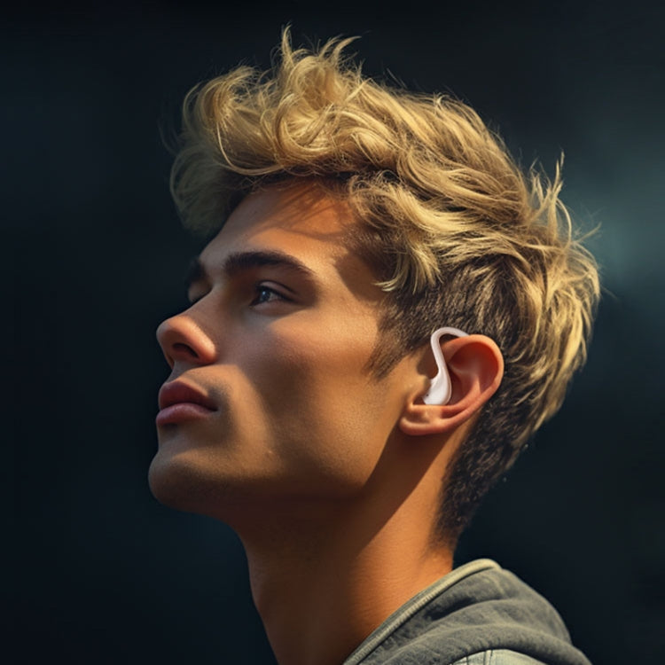 WK WS-03 Yindou Ear-mounted Air Conduction Bluetooth Earphone(Black)