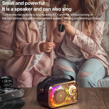WEKOME WD-03 Meytang Karaoke Wireless Bluetooth Speaker(Black)