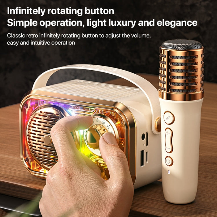 WEKOME WD-03 Meytang Karaoke Wireless Bluetooth Speaker(Black)