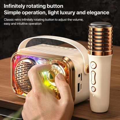 WEKOME WD-03 Meytang Karaoke Wireless Bluetooth Speaker(Black)