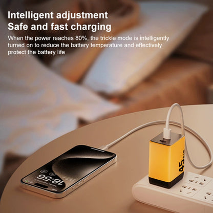 Chargeur rapide GaN WK WP-U33 45W USB-C / Type-Cx2, type de prise : prise UE (vert)