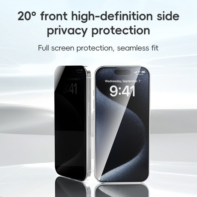 For iPhone 16 Pro ZGA 0.33mm 2.5D Anti-static Privacy Tempered Glass Film