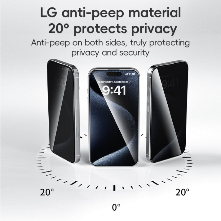 For iPhone 16 Pro ZGA 0.33mm 2.5D Anti-static Privacy Tempered Glass Film