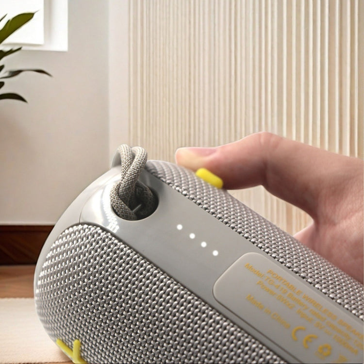 T&G TG419 Outdoor Portable Waterproof Handheld TWS Wireless Bluetooth Speaker(Red)