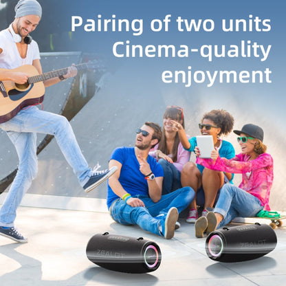 Zealot S87M 80W Portable Outdoor RGB Bluetooth Speaker with Dual Microphones(Black)