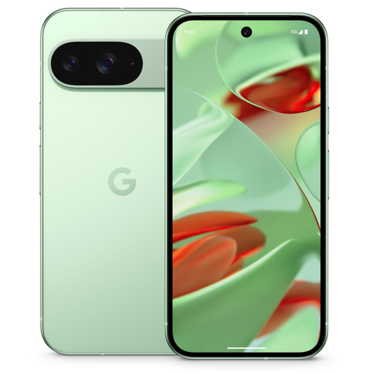 GOOGLE PIXEL 9 256GB WINTERGREEN + CHARGER 45W