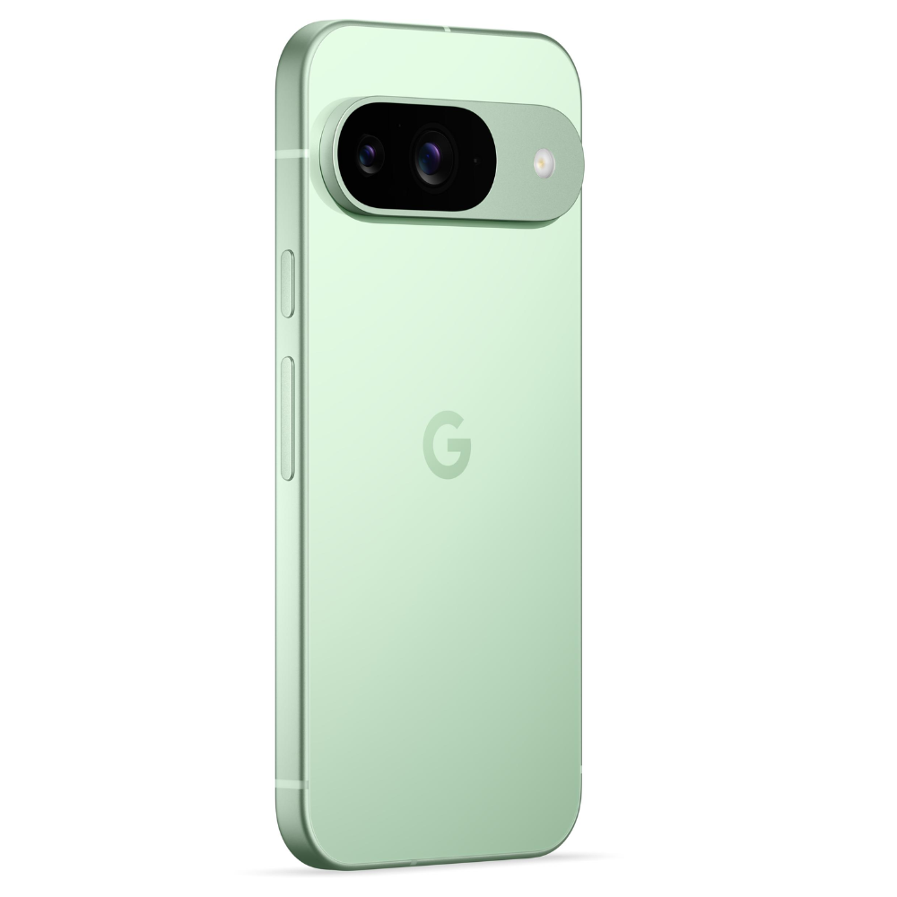 GOOGLE PIXEL 9 256GB WINTERGREEN + CHARGER 45W