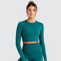 Hauts de fitness sans couture de couleur unie, slim, respirants, de yoga, de sport, de gym, à manches longues pour femmes