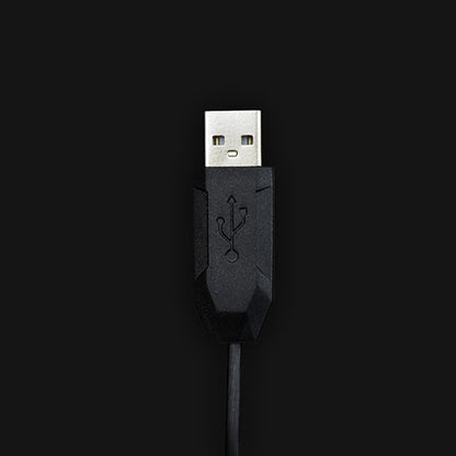 Souris optique filaire givrée Chasing Leopard 512G USB pour jeu, longueur : 1,3 m (noir)