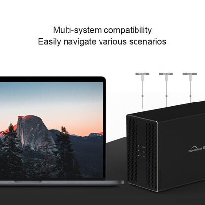 Blueendless Type-C / USB-C Interface 3.5 inch 2 Bay RAID Combination Array HDD External Enclosure (AU Plug)