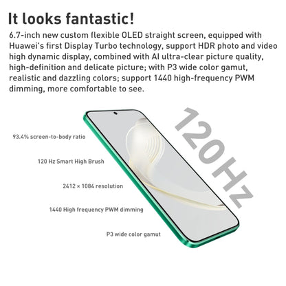 HUAWEI nova 11 FOA-AL00, 60MP Front Camera, 256GB, China Version