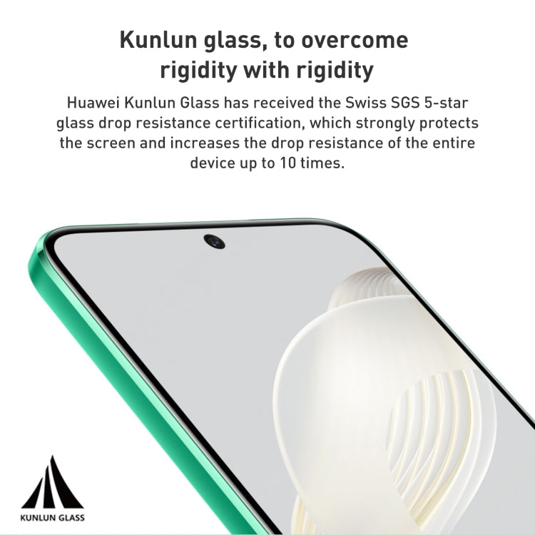 HUAWEI nova 11 FOA-AL00, 60MP Front Camera, 256GB, China Version