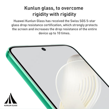 HUAWEI nova 11 FOA-AL00, 60MP Front Camera, 256GB, China Version