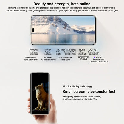 Honor 300 Pro, 12GB+512GB, Screen Fingerprint, 6.78 inch MagicOS 9.0 / Android 15 Snapdragon 8 Gen 3 Octa Core, Network: 5G, NFC, OTG, Support Google Play (Black)