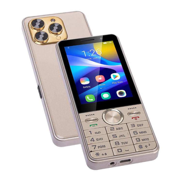 Téléphone à fonctions UNIWA XS17, 2 Go+16 Go, Android 8.1 MT6737M Quad Core de 3,5 pouces, réseau : 4G, double carte SIM (Or)